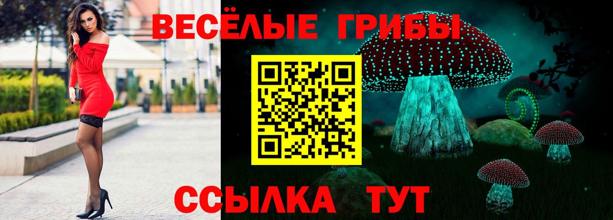 Мыски  Галлюциногенные грибы ЛСД  Вход с VPN 